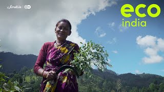 Eco India Indigos journey from signifying colonial oppression to empowering Himalayan communities [upl. by Blondell]