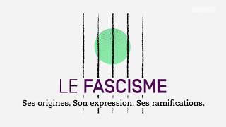 Questce que le fascisme [upl. by Esemaj391]