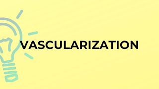 What is the meaning of the word VASCULARIZATION [upl. by As]