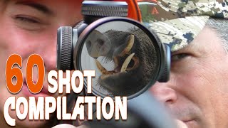 60 Hunting Shot Compilation  Compilation des 60 meilleurs tirs de chasse  2021 [upl. by Spiro]