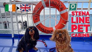 STENA NORDICA pet friendly cabin Rosslare to Fishguard [upl. by Eseuqcaj]