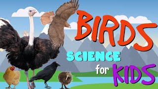 Birds  Science for Kids [upl. by Constanta449]