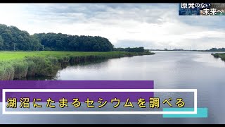 湖沼にたまるセシウムを調べる ２０２３年 [upl. by Sidnala773]