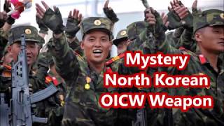 New Mystery North Korean OICW Weapon [upl. by Burdelle170]