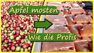 Äpfel mosten 🍎 Apfelsaft herstellen [upl. by Haukom61]