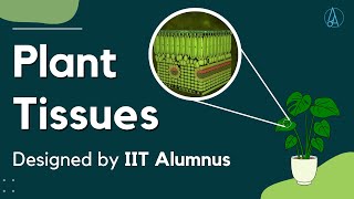 Plant Tissues Explained and Designed by IIT Alumnus [upl. by Simpkins638]