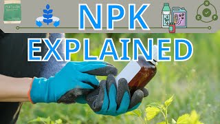 Introduction to NPK Nitrogen  Phosphorus  Potassium [upl. by Ernestine347]