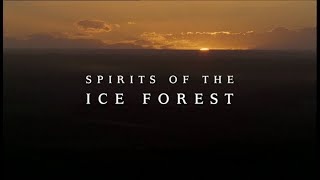 Walking With Reviewers Episode 5 Spirits Of The Ice Forest [upl. by Philipp422]