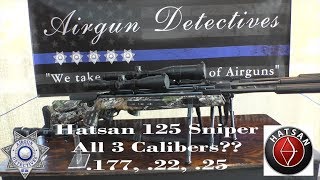 Hatsan 125 Sniper Vortex 177 22 and 25 Caliber quotFull Reviewquot by AIrgun Detectives [upl. by Anirec967]