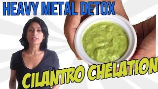 Cilantro Chelation  Cilantro chelation for heavy metal detox [upl. by Steddman982]