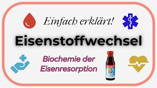 Eisenstoffwechsel Einfach erklärt  Biochemie der Eisenresorption [upl. by Ot124]