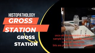 Gross StationGrossingHistopathology Procedure [upl. by Galloway955]