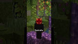 Minecraft’s RAREST Seed EVER [upl. by Solokin]