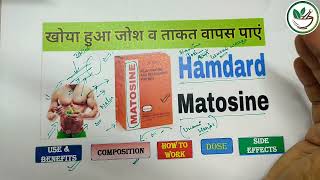 जोश और स्टेमिना बढ़ाए ताकत दे अंग मजबूत करे Hamdard Matosine Capsule ।। The Ayurved [upl. by Ling961]