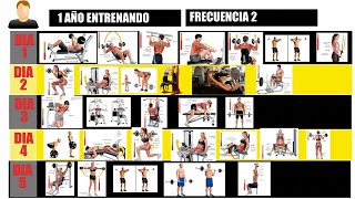 ¿Cómo diseñar un MESOCICLO de Entrenamiento para GANAR masa MUSCULAR [upl. by Chadburn]