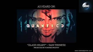 Glass Heart feat Sam Tinnesz  Tommee Profitt [upl. by Omsare]