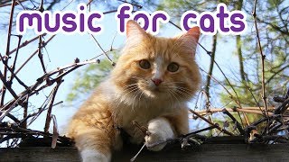 EXTREMELY Soothing Cat Therapy Music  Relax Your Cat [upl. by Iruj113]