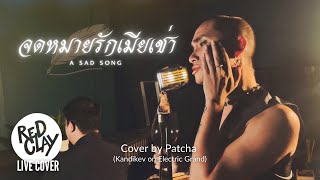 จดหมายรักเมียเช่า  Patcha Cover [upl. by Enautna893]