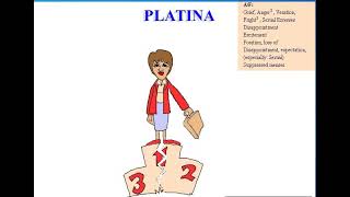 PLATINUM METALLICUM Plat Platina  Uses Indication and Homeopathic Remedy Proving Symptom [upl. by Melosa908]