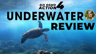 DJI Osmo Action 4 Underwater Review  BEST SETTINGS amp TIPS [upl. by Cull260]