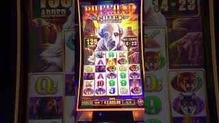 Buffalo Chief Handpay Jackpot  Sky River Casino [upl. by Gerhard]