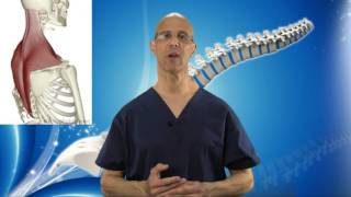 Superb Suboccipital Stretch For Neck Pain Spasm amp Headache Relief  Dr Mandell [upl. by Aibat]