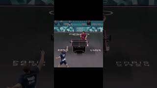 Table Tennis best point paris2024 alexislebrun tabletennis pingpong worldtabletennis wtt ittf [upl. by Nelleh229]