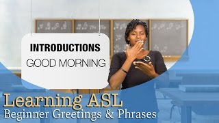 Greetings amp Phrases  ASL For Beginners [upl. by Ahsienod]