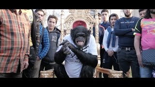 PNL  DA Clip Officiel [upl. by Eidnil390]