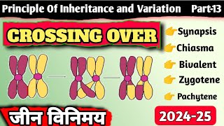 Class 12  Crossing Over  जीन विनिमय  Principle of Inheritance and Variation [upl. by Ehsrop]