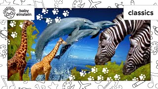 World Animal Adventure  Baby Einstein Classics  Learning Show for Toddlers  Kids Cartoons [upl. by Austen888]