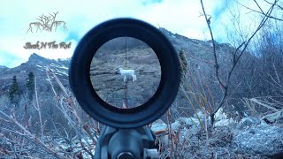 50 BEST HUNTING KILL SHOTS COMPILATION Stuck N The Rut [upl. by Enedan]