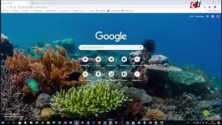 Google Chrome  achtergronden en themas [upl. by Yendis]