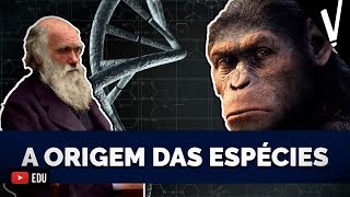 A ORIGEM DAS ESPÉCIES │Biologia [upl. by Mrots]