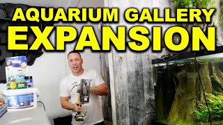 The king of DIY EXPANDS the aquarium gallery FINALLY [upl. by Aivax393]