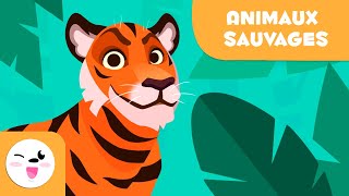 Les animaux sauvages pour les enfants  Vocabulaire pour les enfants [upl. by Iglesias]