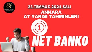 23 Temmuz 2024 Salı Ankara At Yarışı Tahminleri [upl. by Enahsed]