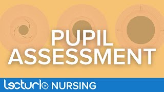 How To Perform a Pupil Assessment  Neurological Assessment [upl. by Hareema]