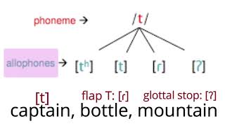 American phonemes and the concept of allophones [upl. by Mecke]