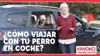 ¿Cómo llevar a un perro en el coche🐕🚗 [upl. by Sybila860]