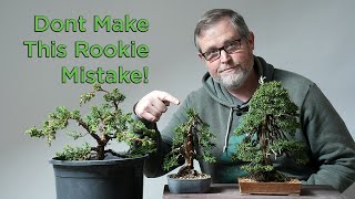 How to Make a Juniper Bonsai [upl. by Zohar678]