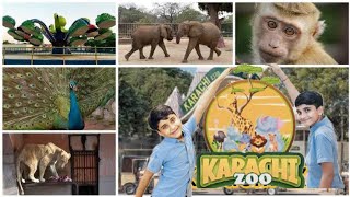 Karachi Zoo Aur Mumtaz Begum karachizoo chotebhaibadebhai vlog animals [upl. by Aliet226]