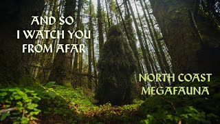 AND SO I WATCH YOU FROM AFAR  North Coast Megafauna  Music Video [upl. by Ahsener501]