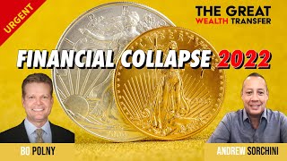 THE GREAT WEALTH TRANSFER amp FINANCIAL COLLAPSE Bo Polny Andrew Sorchini [upl. by Bonucci912]