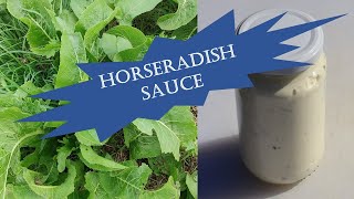 Horseradish  foraging preserving amp making sauce [upl. by Atthia]