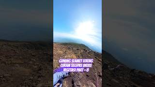 GUNUNG SLAMET LERENG CURAM SELEPAS BATAS VEGETASI PART  8 shorts [upl. by Kcam]