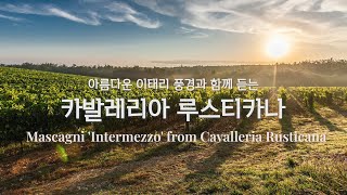 Intermezzo from Cavalleria Rusticana Mascagni  카발레리아 루스티카나 간주곡 마스카니  대부ost [upl. by Anahsor]