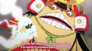 One Piece capitulo 1008 sub español Avance en HD [upl. by Annwahs]