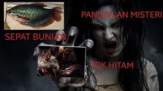 Kisah seram misteri SEPAT BUNIANPANGGILAN MISTERITOK HITAM ReazyStory [upl. by Etnod]