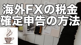 海外FXの税金の計算と確定申告の方法をわかりやすく解説！ [upl. by Xonnel]